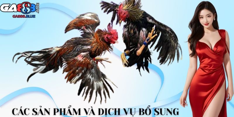 Các sản phẩm và dịch vụ bổ sung